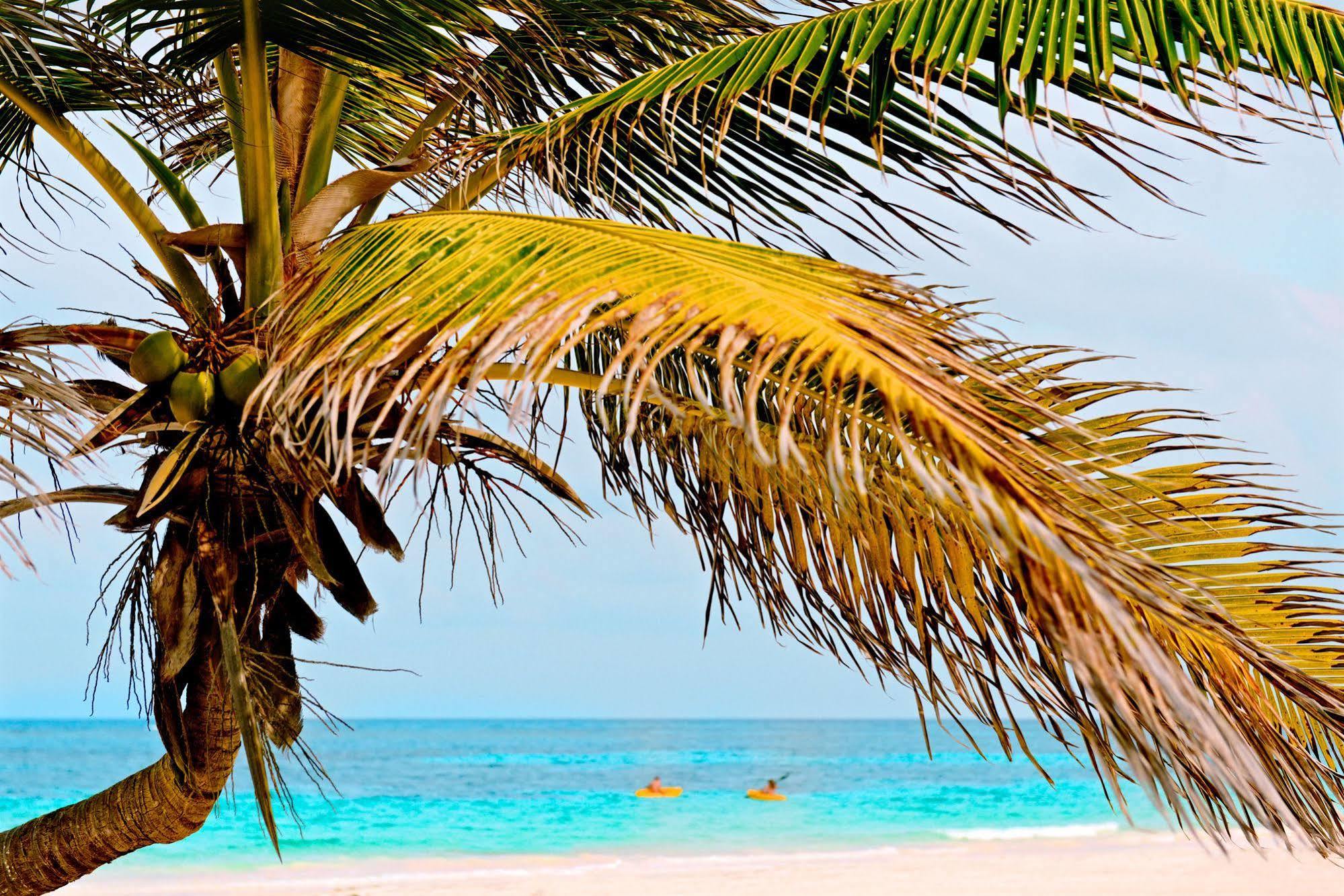 Hotel Casa Chable Punta Allen Exterior foto